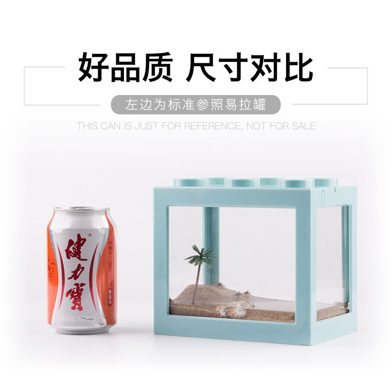 迷你豆豆蟹桌面可爱系小宠物不喂食生态系统缸造景儿童礼物大号