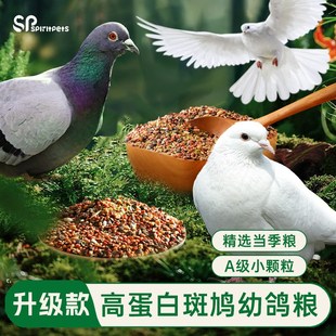 斑鸠专用粮饲料粮食鸟食小颗粒幼鸽粮白鸽鸽子高粱小麦营养下蛋