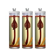 玻璃泡酒瓶人参鹿鞭泡酒缸直筒玻璃瓶长筒圆柱密封罐细高泡酒罐子