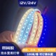 24V2835一体包胶防水户外水里用白光暖光蓝光灯带12V灌胶白光灯条