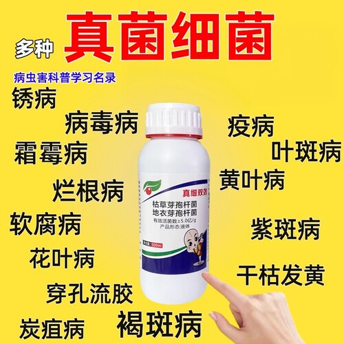 杀菌剂真细病毒早晚疫霜霉