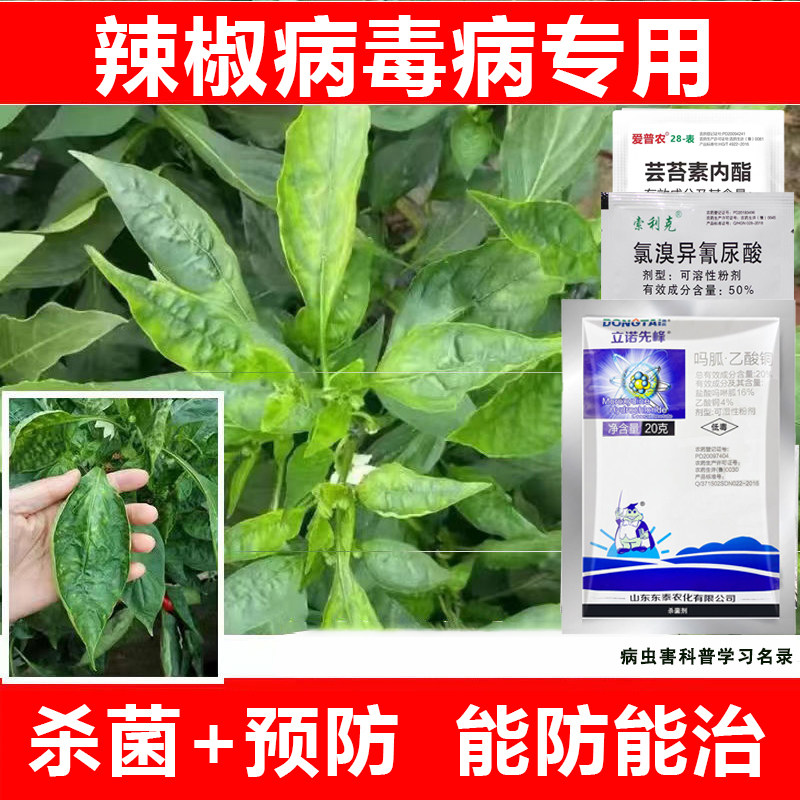 辣椒病毒病专用药辣椒卷叶黄叶青枯病炭疽病病毒病专用套装杀菌剂