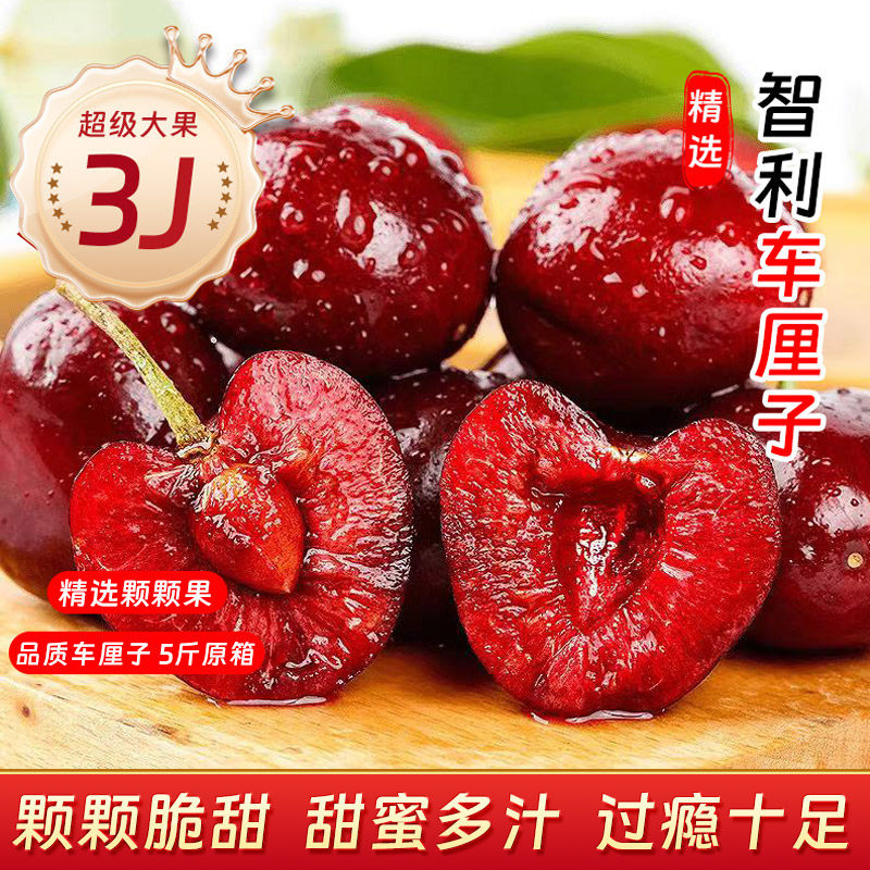 智利车厘子3J新鲜水果当季整箱礼盒5斤原箱顺丰京东,水产肉类/新鲜蔬果/熟食,车厘子/樱桃,淘宝优惠券,粉丝福利购,淘宝优惠卷
