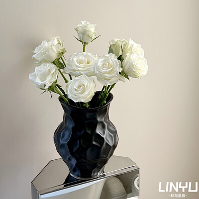 [小红书推荐】水培陶瓷花瓶！