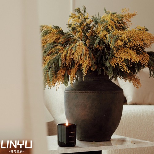 一罐封神！这哪是花瓶是艺术品