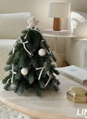 圣诞节氛围装饰诺贝松布置道具新款小众桌面小型假树可爱造型摆件