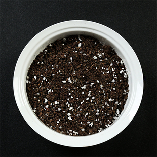 速发多黑植物有机营养土 苔土类泥炭藓园艺土 肉土花土种菜泥土