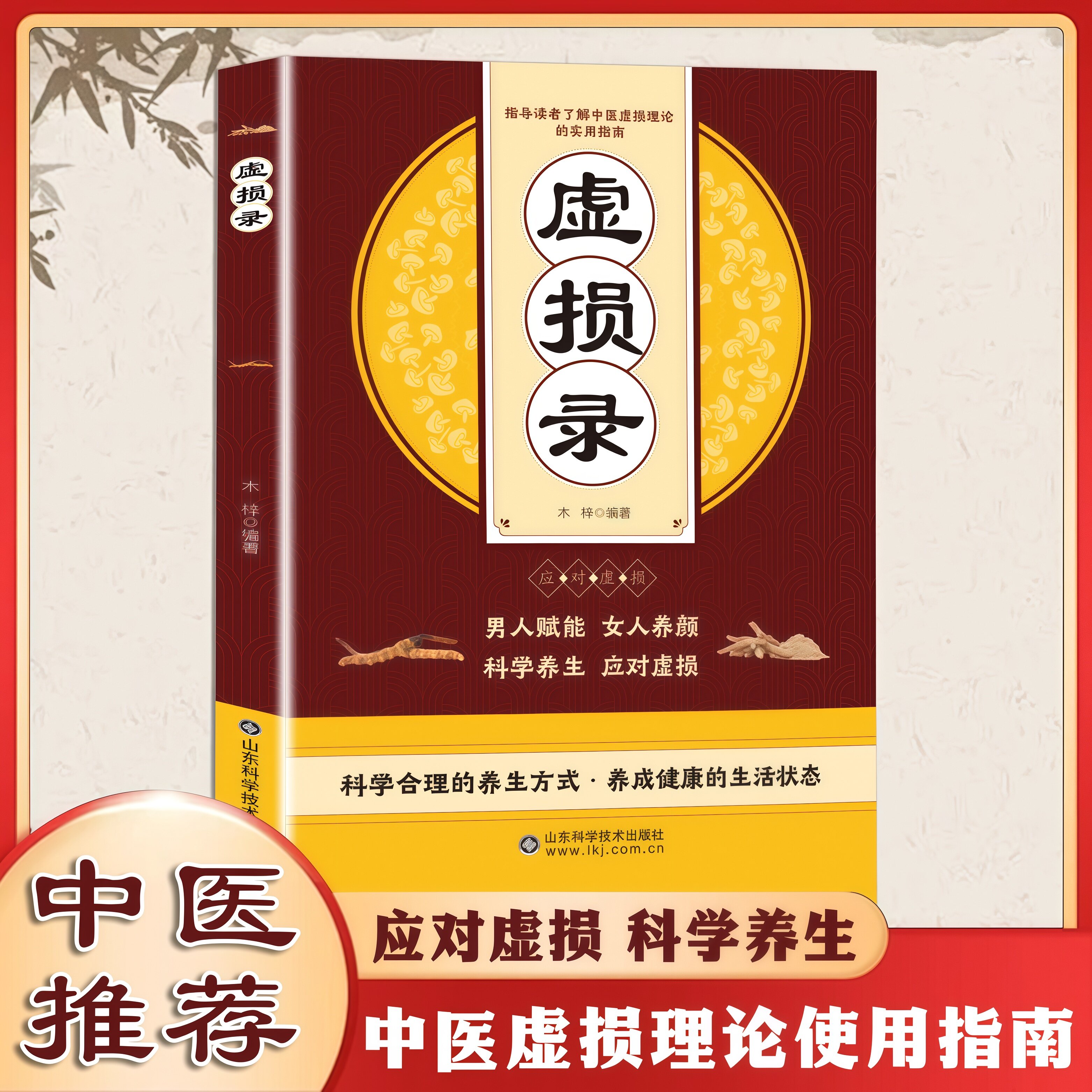 虚损录 经典中医入门大全养生经典启蒙自学教程理论使用指南书籍