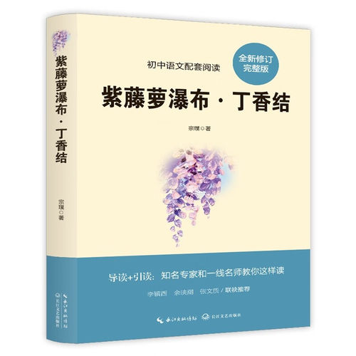 紫藤萝瀑布丁香结 经典文学作品读物 学生课外阅读书籍 小说阅读