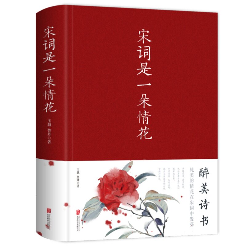 宋词是一朵情花 读懂宋词韵味触摸古典情感美学古代诗词鉴赏书籍