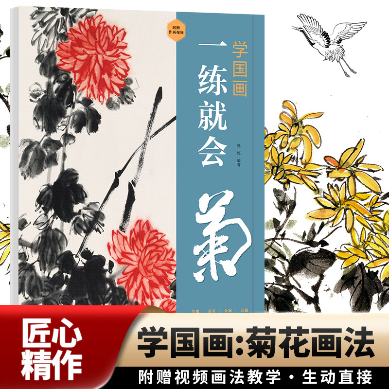 正版学国画：一练就会·菊零基础学国画入门教材教程国画技法入门