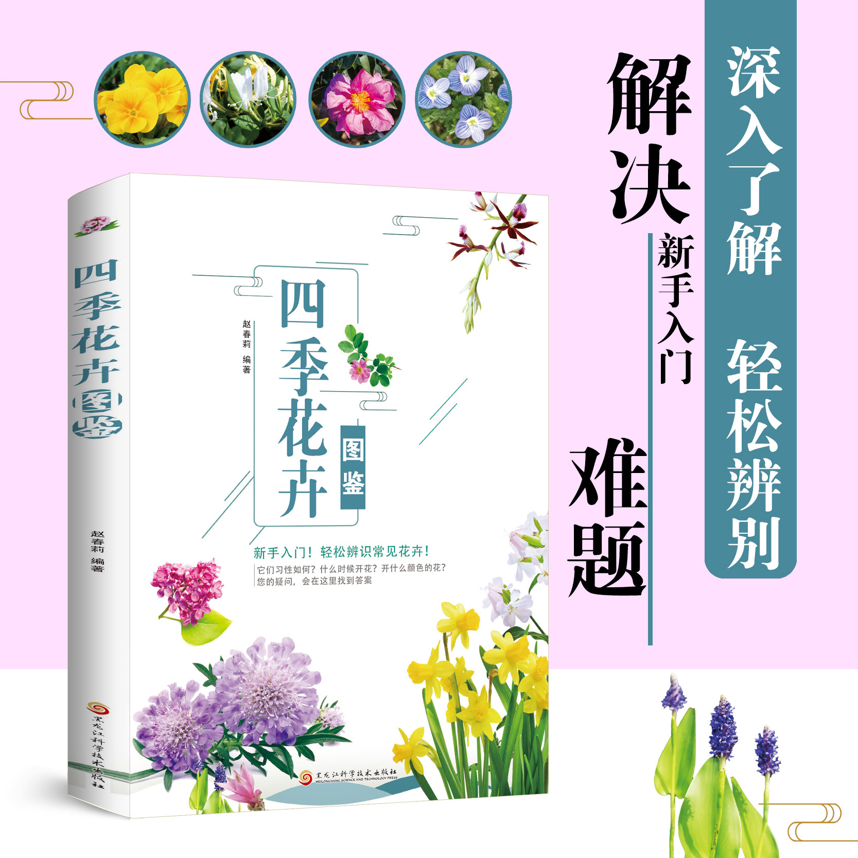 正版四季花卉图鉴彩图科普分辨常见花卉四季赏花时机花卉四季变换