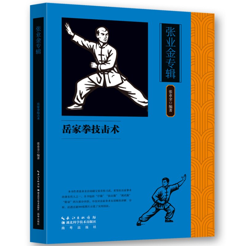张业金专辑：岳家拳技击术 掌握岳家拳技巧传统武术技法深度精讲