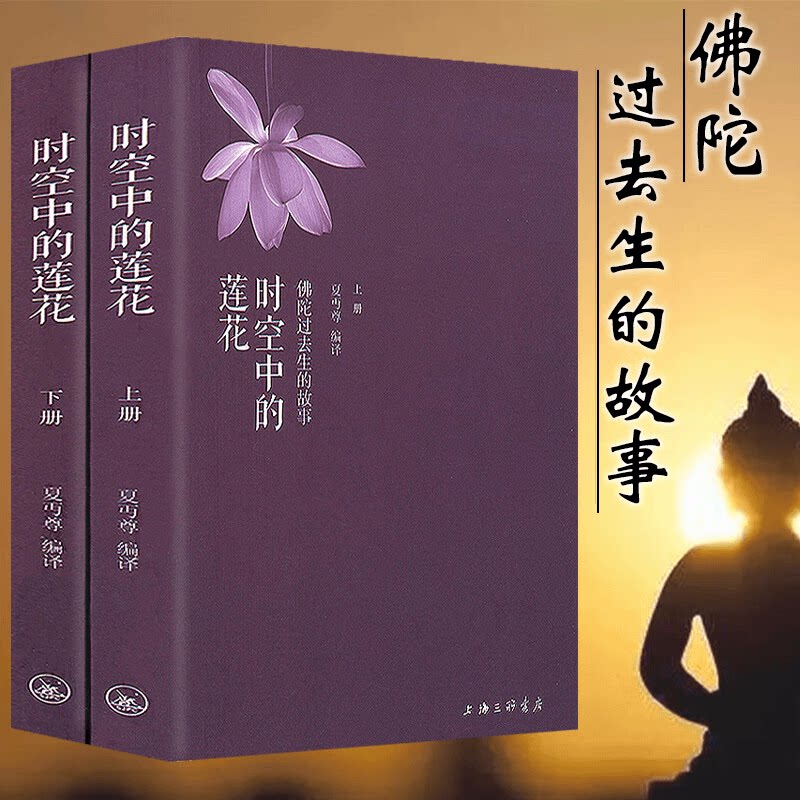 正版时空中的莲花 佛陀过去生的故事-释迦牟尼佛解读禅菩萨书籍