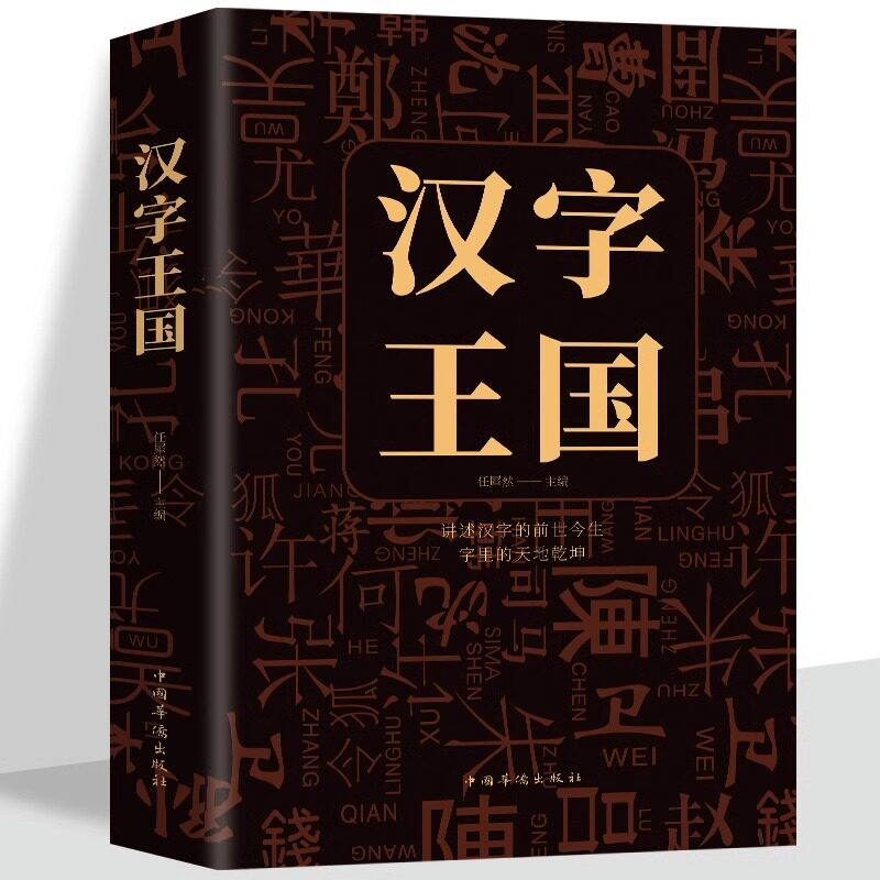 汉字王国 语言文字古代汉语字典古文字学研究详解部首咬文嚼字