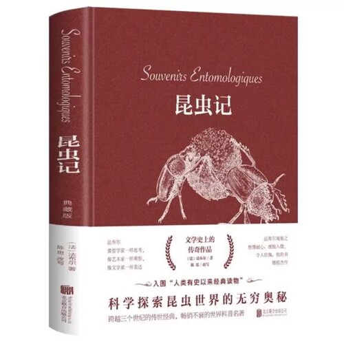 昆虫记 精装版外国现当代文学名著小说 儿童文学故事书彩图书籍