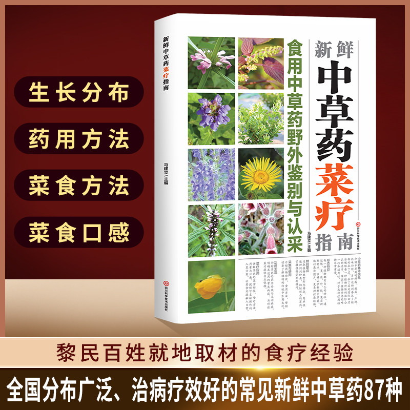 新鲜中草药菜疗指南 野外可食用草药鉴别采摘与食疗药膳大全书籍
