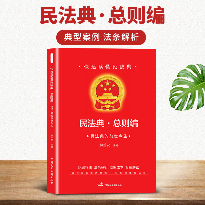 正版快速读懂民法典总则编 典型案例法条解析以案释法分编解读