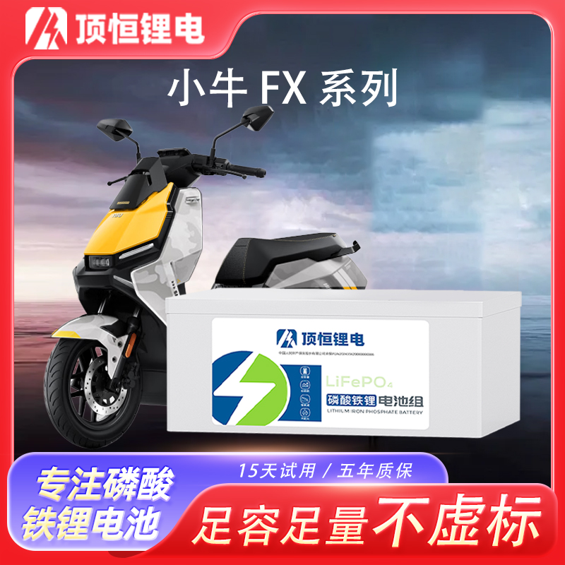 顶恒小牛FX风速版系列磷酸铁锂