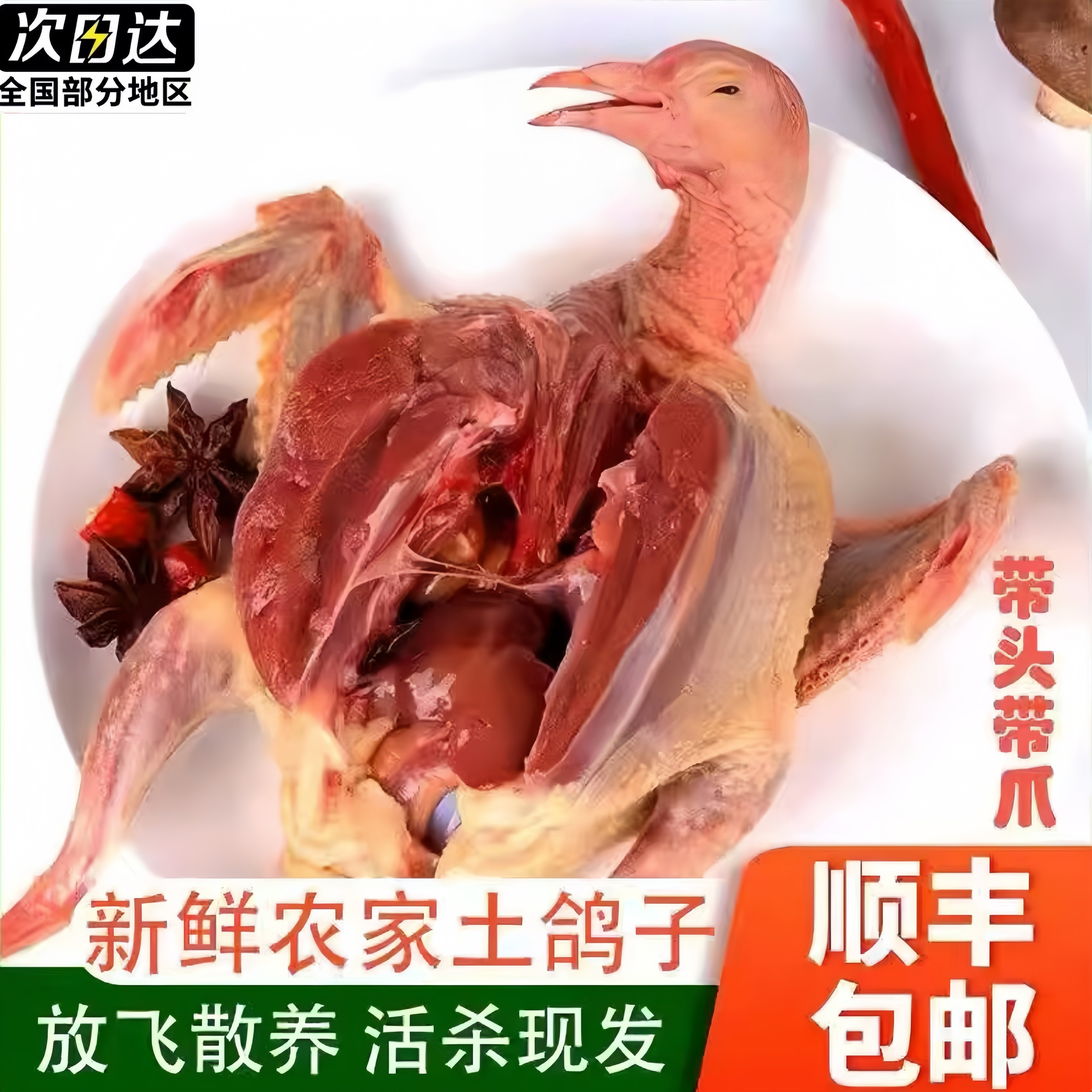 【顺丰】新鲜现杀农家散养土鸽子