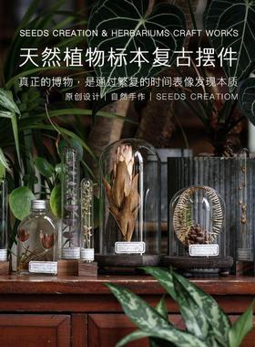 天然植物干 干燥花永生花玄关侘寂风装饰博物桌面摆件玻璃罩标本