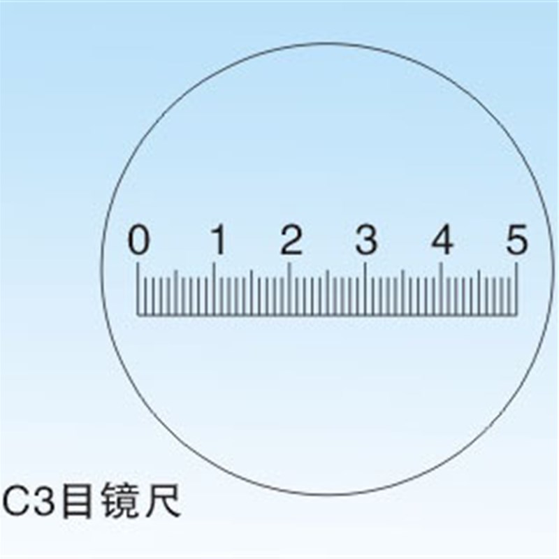 C3型0.1尺形目镜测微尺 物镜测微尺 镜台测微尺 实验室用测微尺