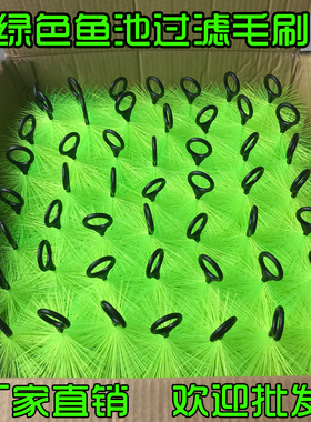 绿色优质鱼缸毛刷锦鲤鱼池过滤毛刷水族箱底滤材料十字304不锈钢