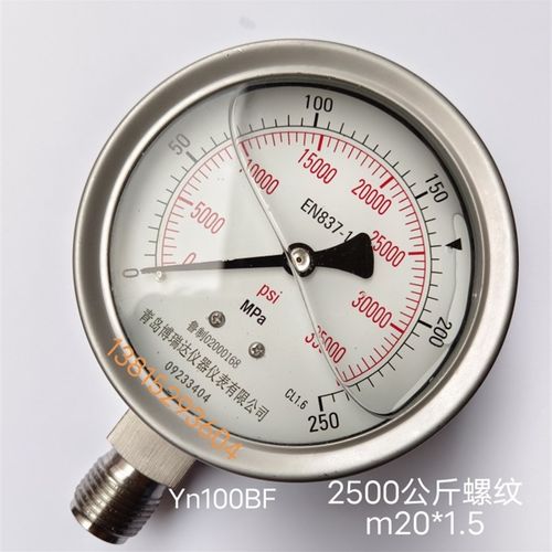 YN100BF青岛高压力表油泵清洗机油浸不锈钢耐震压力表0-250MPa