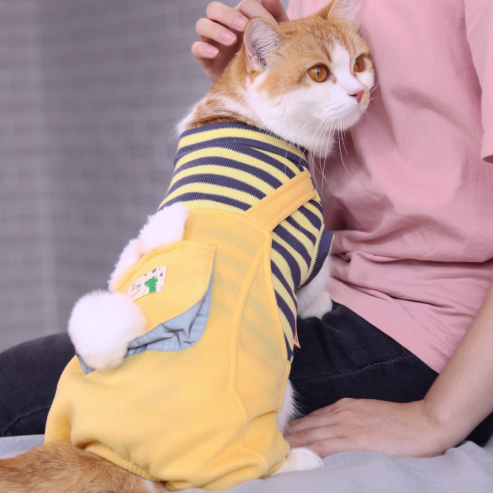 猫咪衣服酷公猫帅气冬季银渐层美短金渐层成年防掉毛护肚子服装