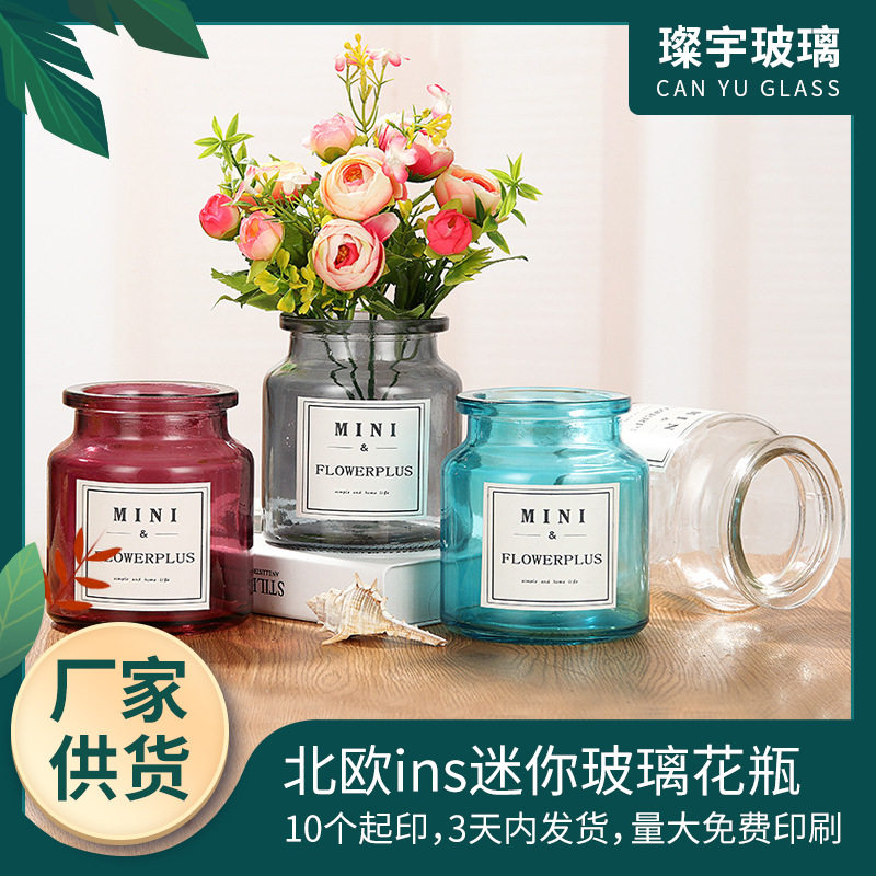 绿萝水培花盆器皿花瓶透明玻璃插花花器客厅办公桌装饰品家居摆件