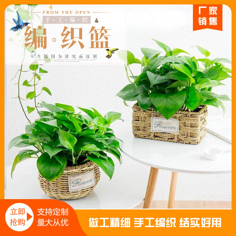 草编藤编花盆创意编织花篮鲜花插花柳编月子鸡蛋提篮水果鲜花篮子