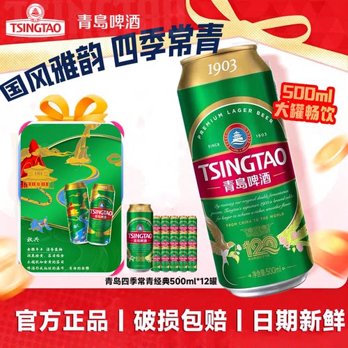青岛啤酒经典四季常青500ml*12听