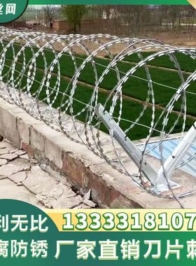 安徽刀片刺绳镀锌刺丝滚笼围栏防盗网防爬刺监狱围墙不锈钢刀刺网