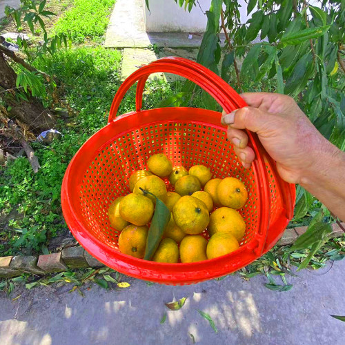 厂家直销12斤草莓篮子手提塑料樱C桃加厚圆形水果筐杨梅樱桃采摘
