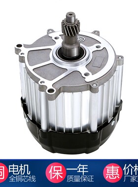 电动三轮车电机60V1200W永磁无刷直流四轮纯铜马达电动机48V.1000