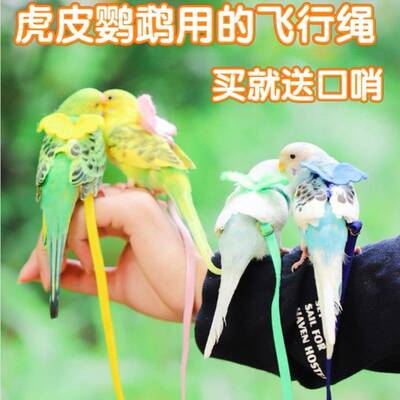 速发鹦鹉放飞绳虎皮遛鸟袋飞行绳不伤脚超轻外出训练超长牡丹鸟绳