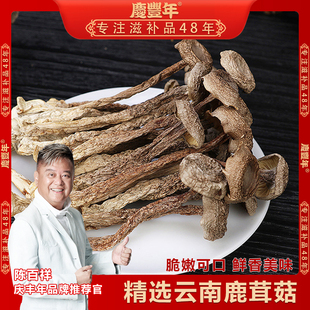 云南干货鹿茸菇250g/500g脆嫩干菇菌菇脆脆菇老少皆宜炒肉煲汤
