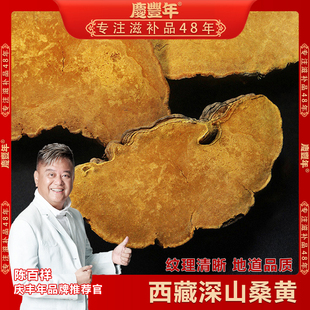 西藏桑黄250克/500克深山桑树桑黄灵芝煲汤泡水桑黄茶