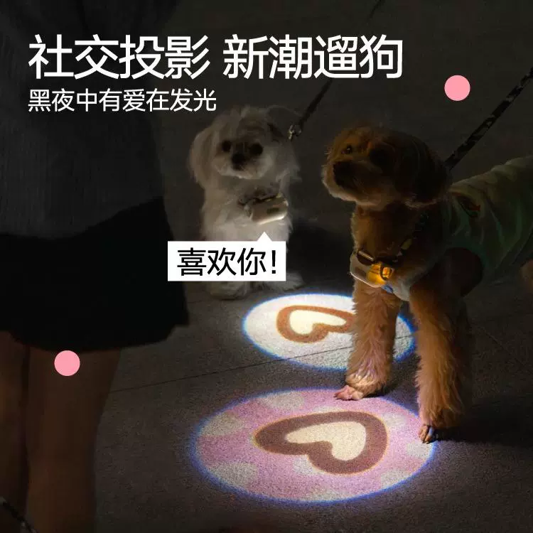 寵物社交投影燈遛狗燈狗狗夜行