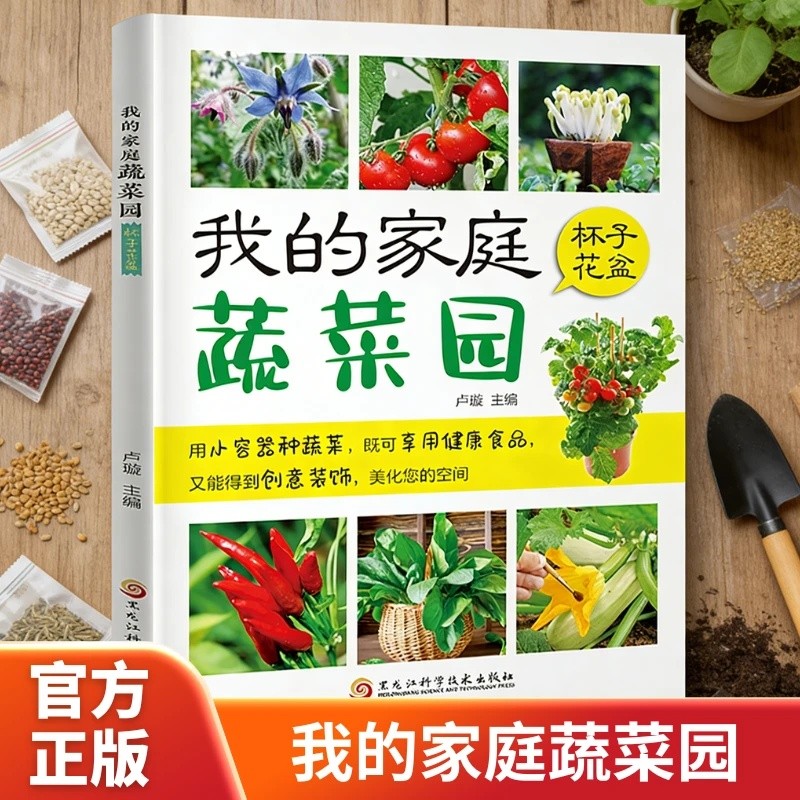 我的家庭蔬菜园杯子花盆家庭种菜养花杯子花盆容器种植蔬菜园艺类