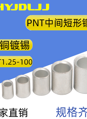 PNT5.5/8/14/22/38/60中间短形连接紫铜小短管对接连接欧式裸端子