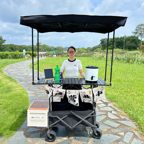 带遮阳棚车拖斗露营车摆摊小推车