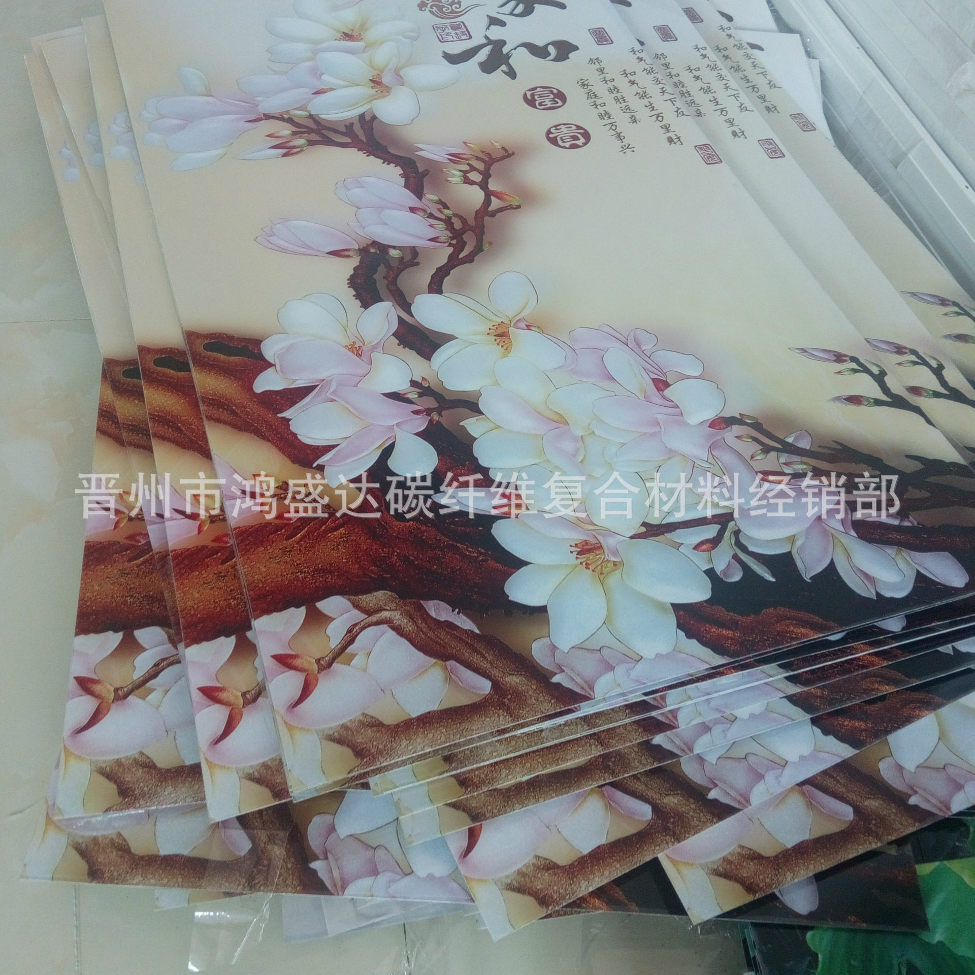 碳晶墙暖画电热板发热片