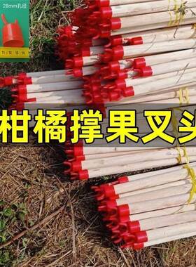 UOR果塑料柑橘撑果叉顶果叉头接木头头叉子农场果树叉头树熟胶果