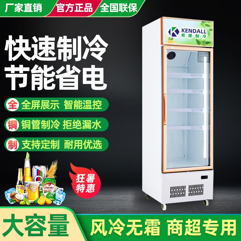 肯德单门双门三门啤酒展示柜 大容量立式直冷超市便利店 饮料柜