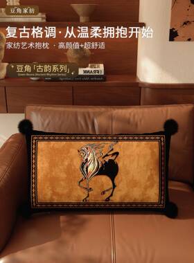 ?法式橙色长抱枕客厅发Fh(x}x}^中古马风长方形沙靠垫组合床上复