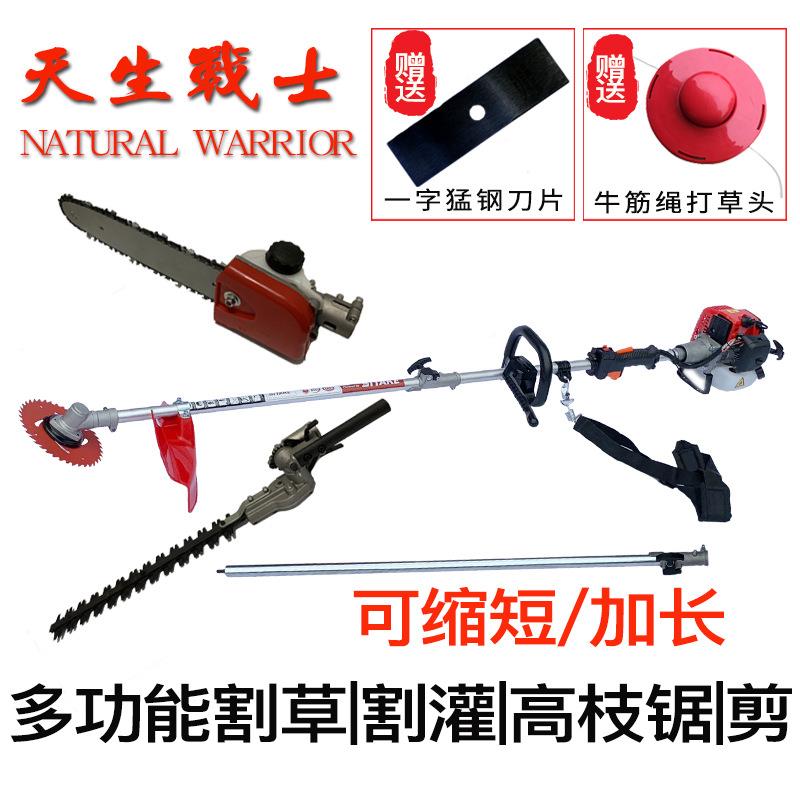 斯特克高枝锯长侧挂式汽油高加果空锯草修枝机修剪机IE2F园除割草