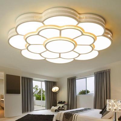 客厅灯2025年新款大厅灯LED吸顶灯现代简气约大家1用WDW花型.米2