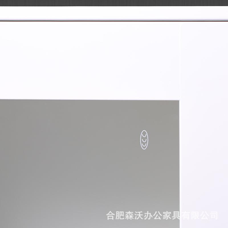 窄边钢制办柜薄SW016边移门矮柜室资料档案柜通门凭证铁皮公文件
