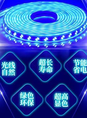 220V蓝色灯条超光高亮天花吊顶KT5730蓝光招牌箱灯装饰长条灯蓝LE